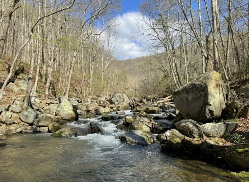 Syria, VA