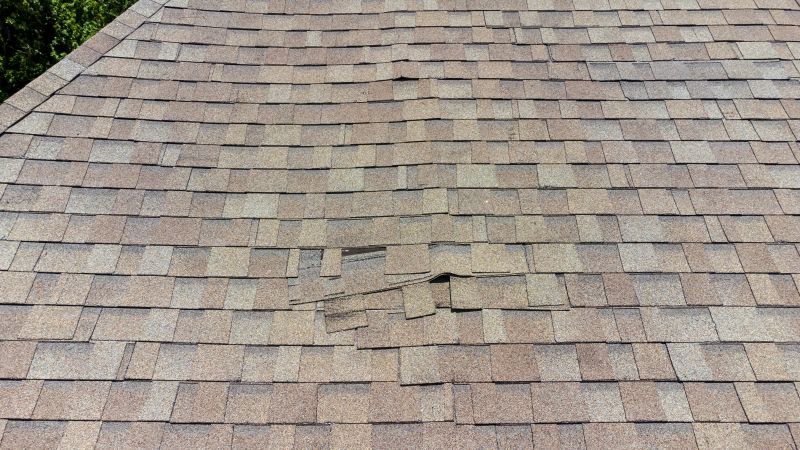 Asphalt Roof Inspection in Brandy Station, VA
