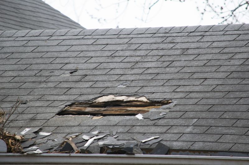 Asphalt Roof Leak Repair in Culpeper County, VA
