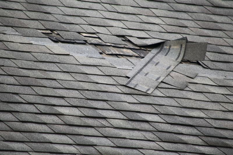 Asphalt Roof Repair in Culpeper County, VA