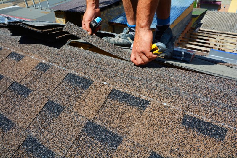 Asphalt Roof Repair in Rockingham County, VA