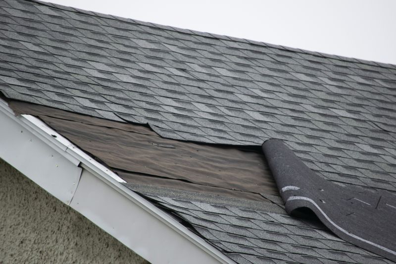 Asphalt Shingles Repair in Amissville, VA