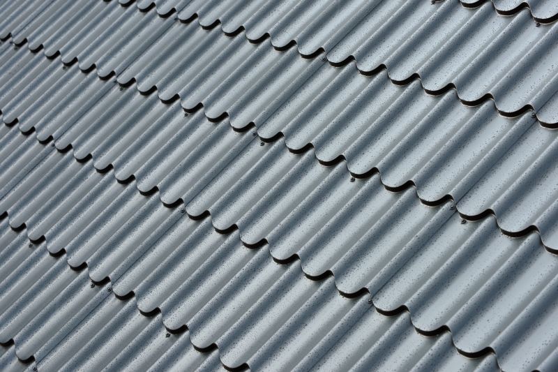 Corrugated Roof Repair in Shenandoah, VA