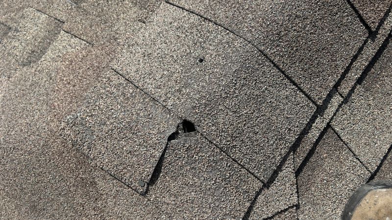 Damaged Roof Repair in Bealeton, VA