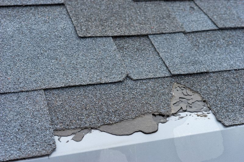 Damaged Roof Repair in Warren County, VA