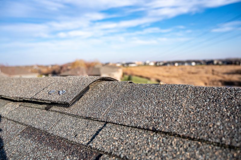 Damaged Roof Repair in Woodville, VA