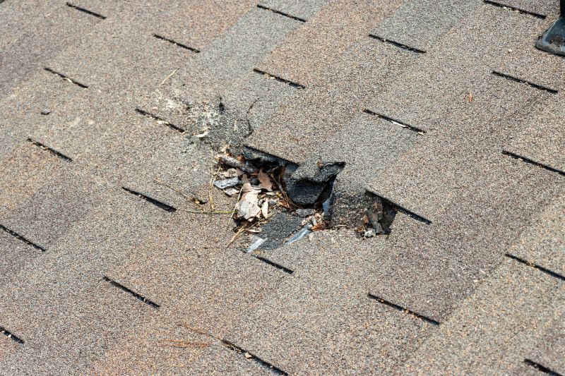 Damaged Roof Replacement in Front Royal, VA