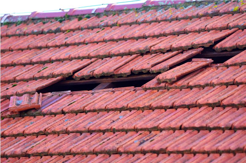 Roof Damage Inspection in Bealeton, VA