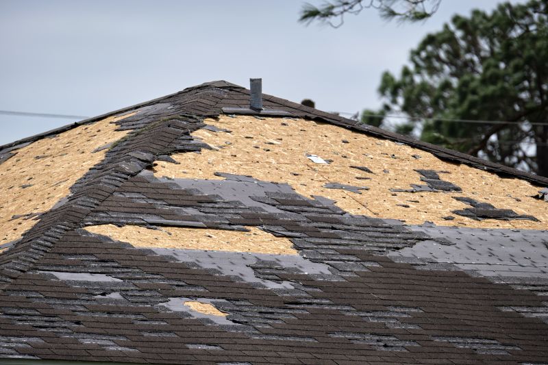 Roof Damage Restoration in Madison, VA