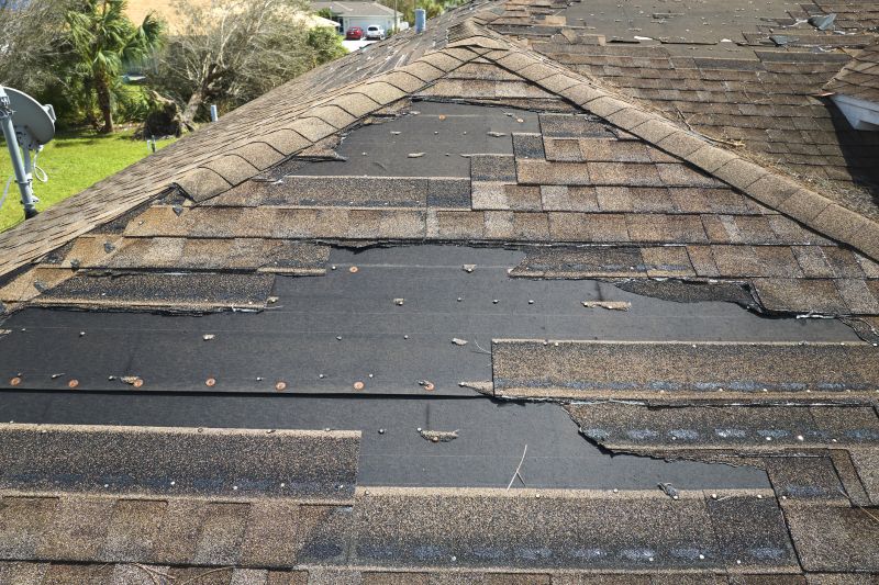 Roof Hail Damage Repair in Rappahannock County, VA