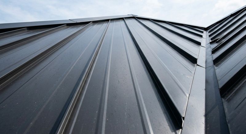 Roof Panel Repair in Rappahannock County, VA