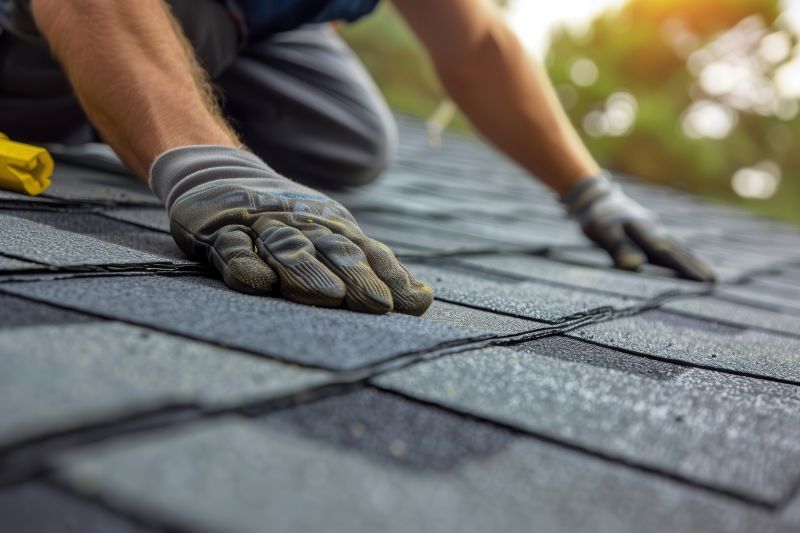 Shingles Repair in Amissville, VA