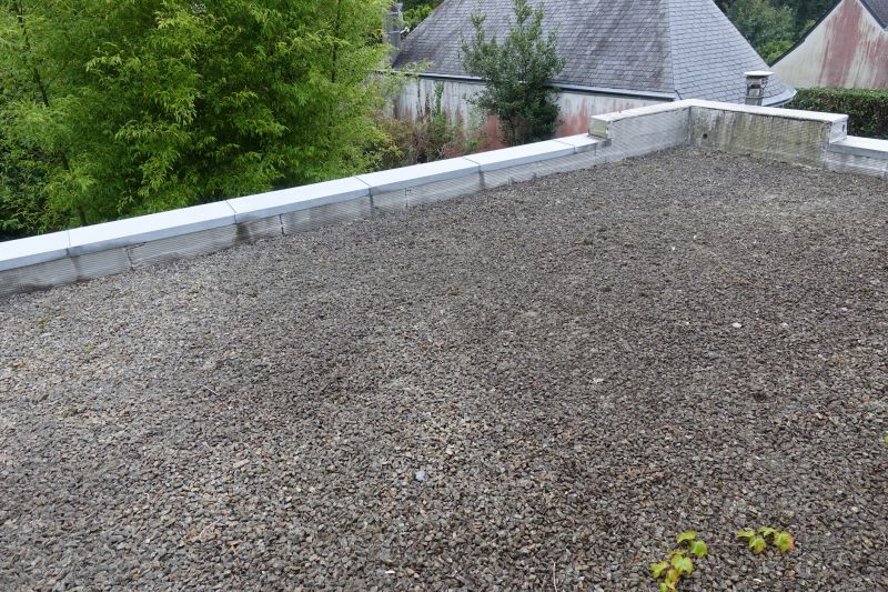 Tar And Gravel Roof Repair in Syria, VA