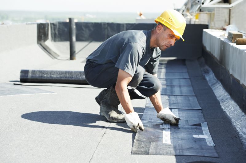 Tpo Roof Repair in Bealeton, VA