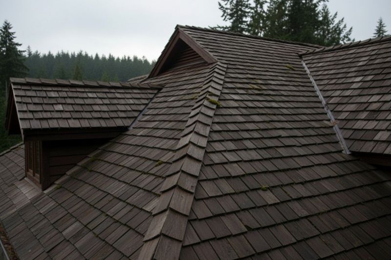 Wood Shake Roof Replacement in Madison, VA